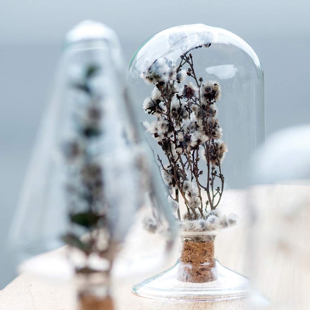 飾りボトル Amazon.co.jp: POSH LIVING デザイン小物 クリア φ7.5×H13 cm